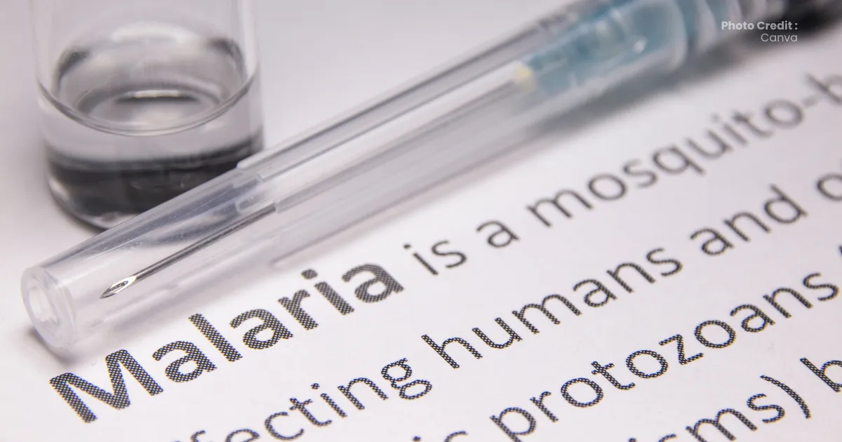 Malaria di Aceh: Gejala, Pengobatan & Pencegahan Terkini (2026)